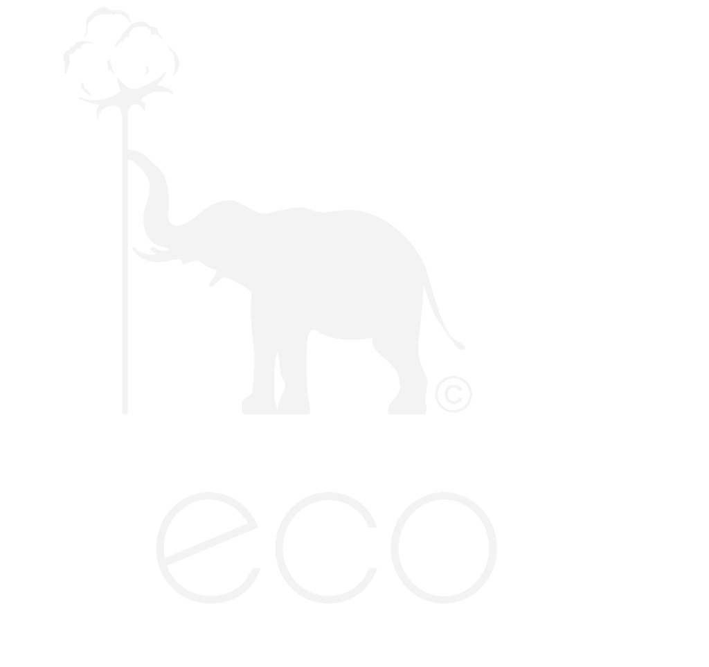 Elecosy logo - white